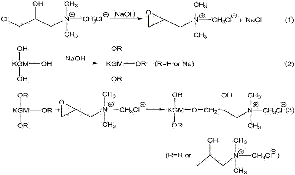 Cationic biomacromolecular flocculant and preparation method thereof