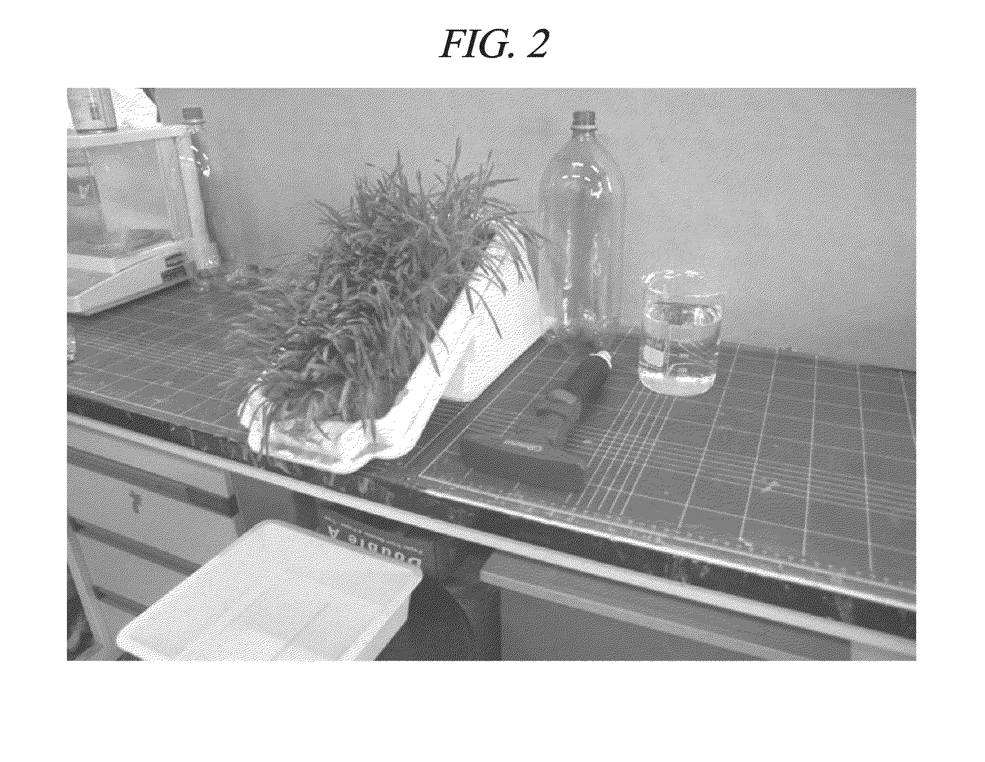 Soil stabilization and improvement method using biopolymer