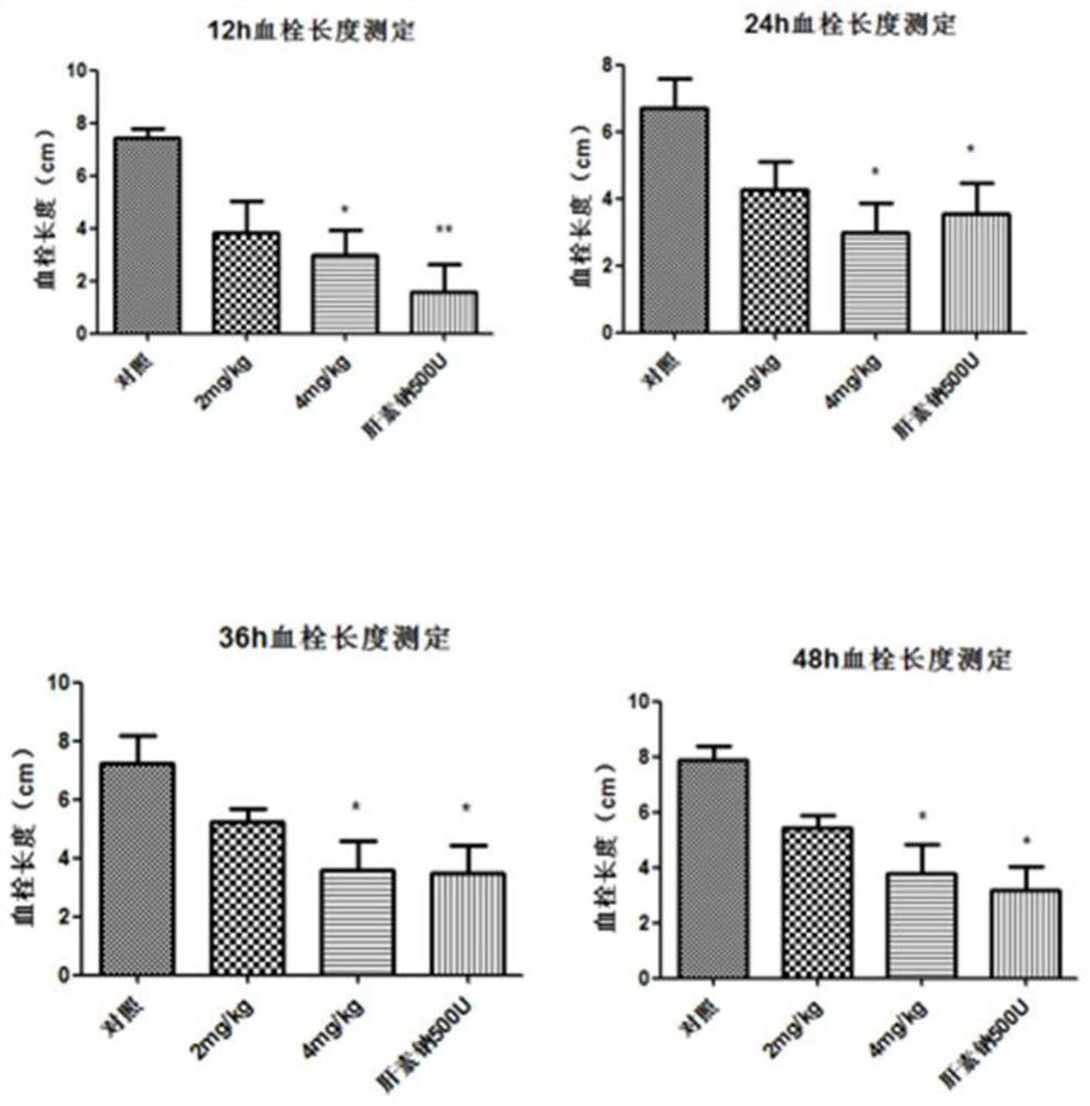 Forest leech antithrombotic peptide sylvestin and its gene and application