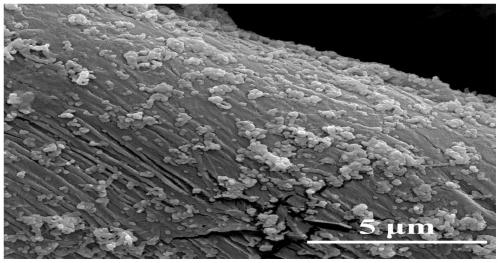 Preparation method of stable super-hydrophobic antibacterial cotton woven fabric based on glutaraldehyde cross-linking