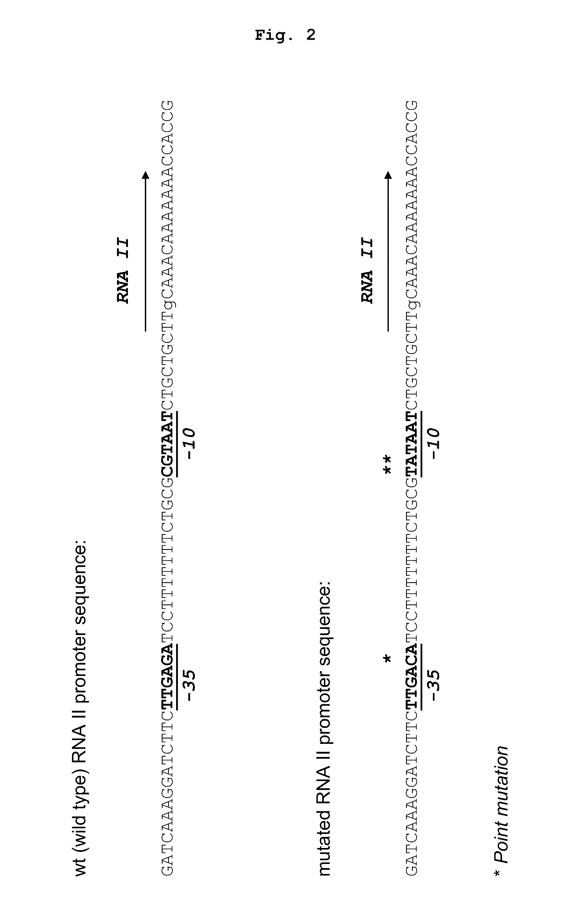 Method for controlling plasmid copy number in e.coli