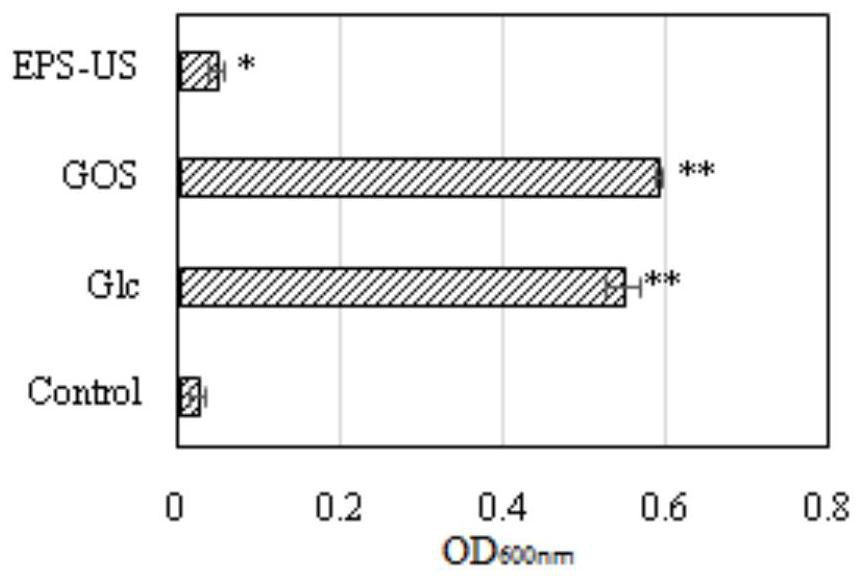 Application of Cordyceps sinensis exopolysaccharide in probiotic health food and/or probiotic traditional Chinese medicine