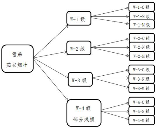 A method for sorting cigar-coated tobacco leaves