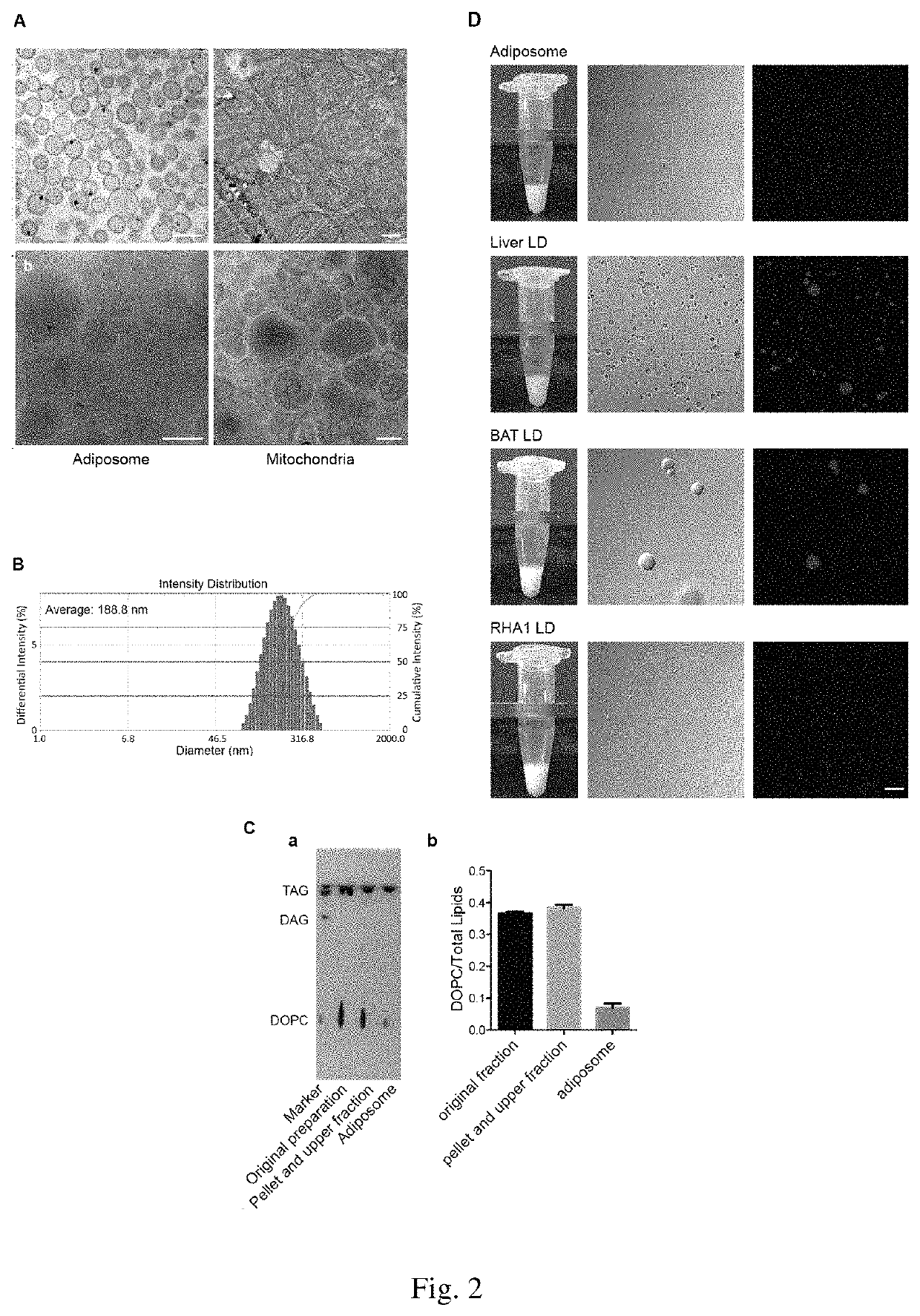 Preparation method of adiposomes, and use thereof