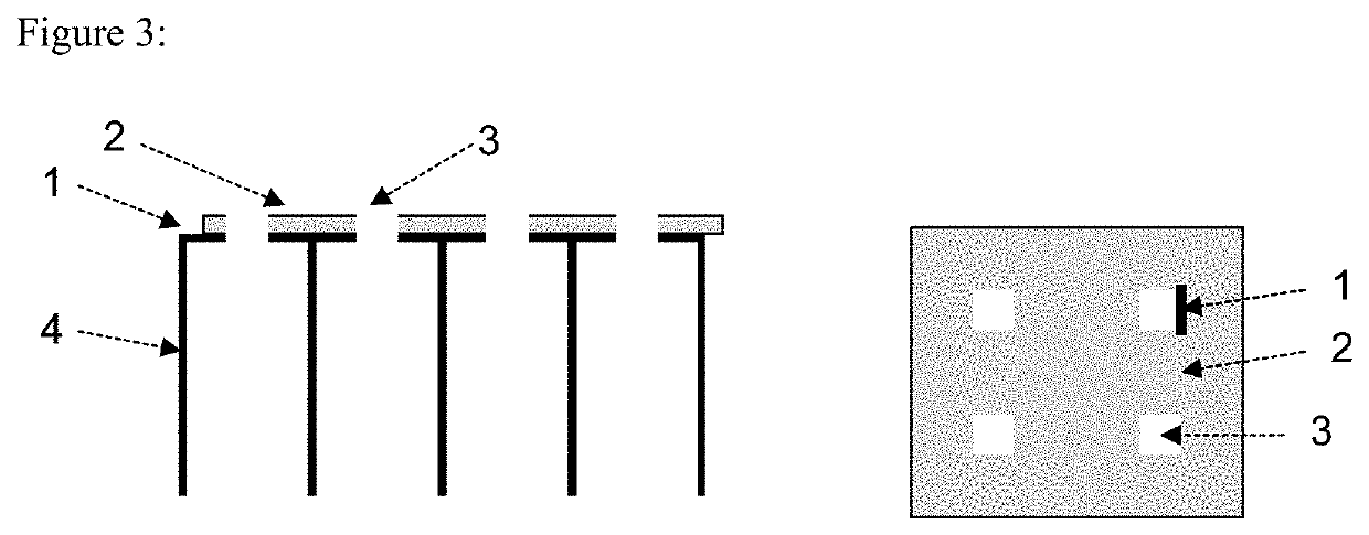 Porous electrode for electrochemical cells