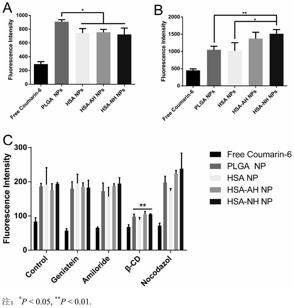 Albumin nano drug delivery system with anti-tumor metastasis and targeting functions and preparation method of albumin nano drug delivery system