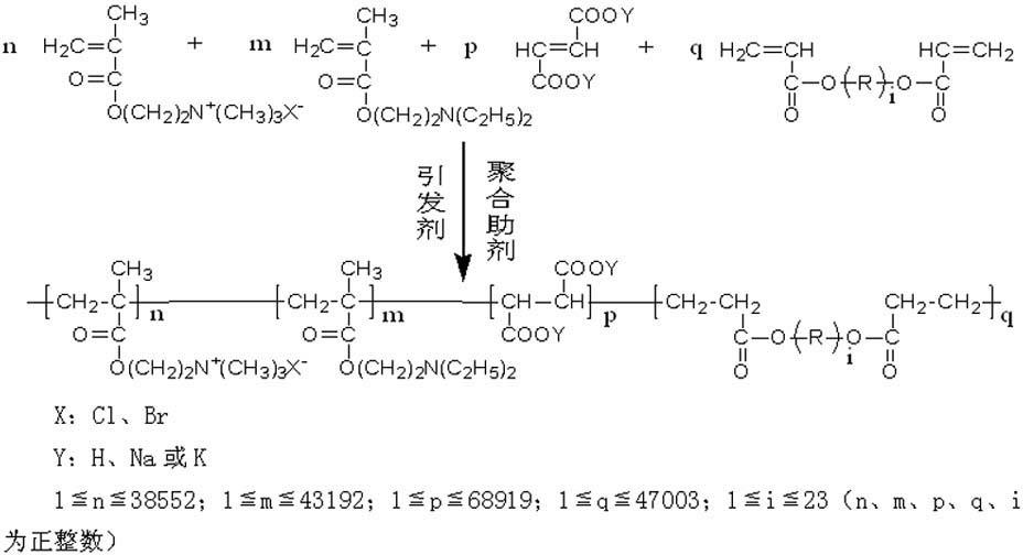 Organic amphoteric polymeric flocculant and preparation method