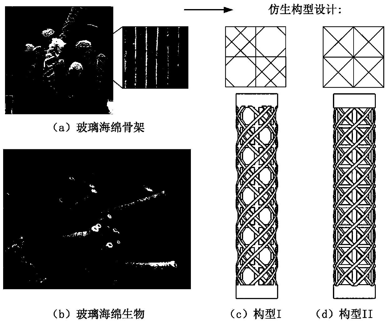 Variable-rigidity soft module with bionic glass sponge skeleton structure and clamp holder