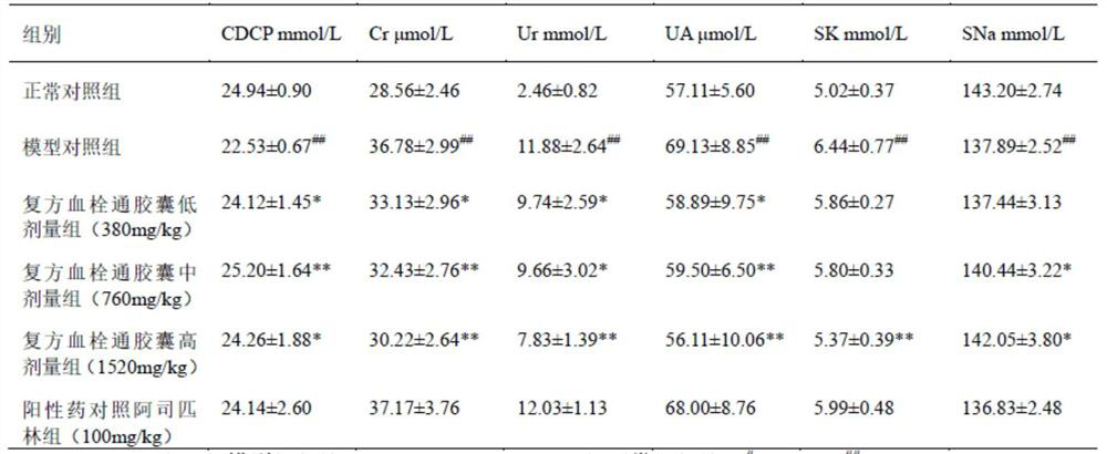 Application of Compound Xueshuantong Preparation in Preparation of Drugs for Treating Kidney Damage Caused by Hypertension