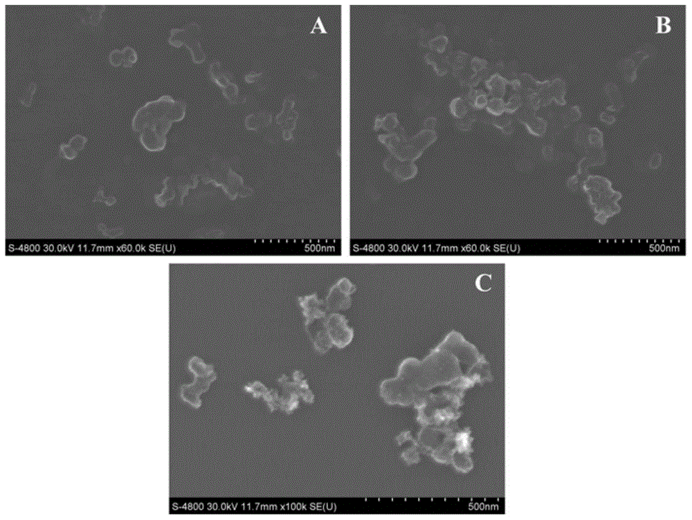 Single-wall carbon nanohorn-platinum palladium nanoparticles and cytomegalovirus pp65 antibody modified electrode and its preparation method and application