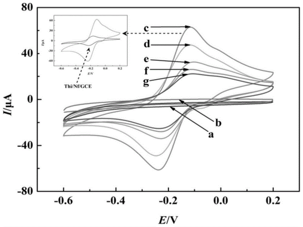 Single-wall carbon nanohorn-platinum palladium nanoparticles and cytomegalovirus pp65 antibody modified electrode and its preparation method and application