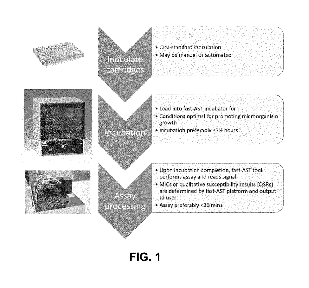 Methods for Rapid Antibiotic Susceptibility Testing