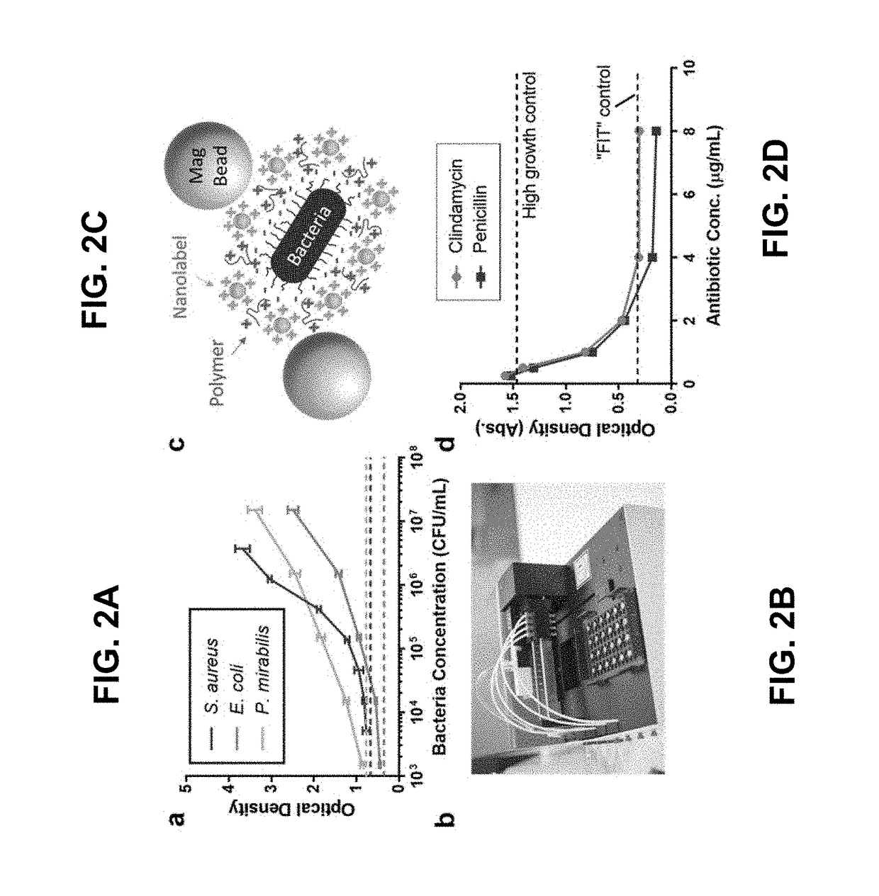 Methods for Rapid Antibiotic Susceptibility Testing