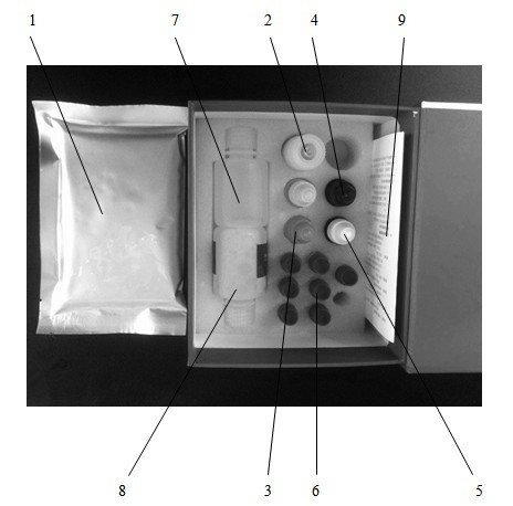 Malachite chemiluminescence ELISA detection method and kit