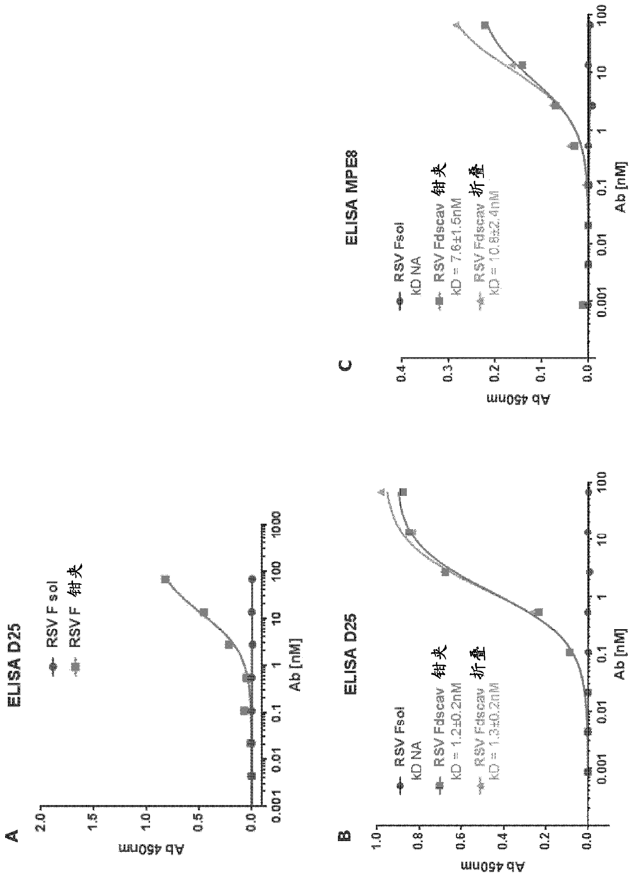 Chimeric molecules and uses thereof