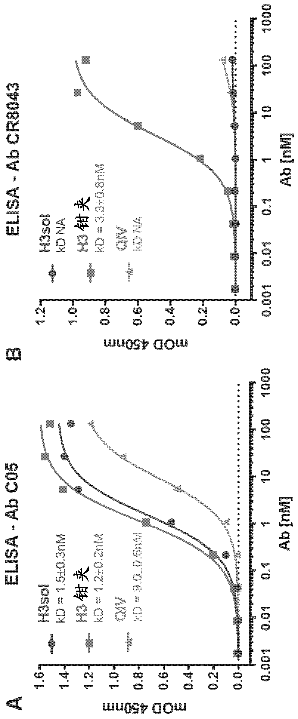 Chimeric molecules and uses thereof