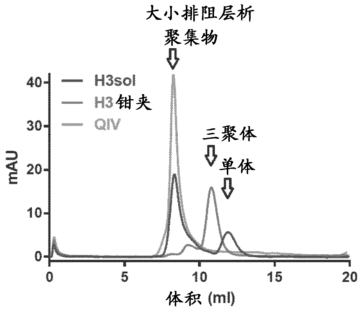 Chimeric molecules and uses thereof