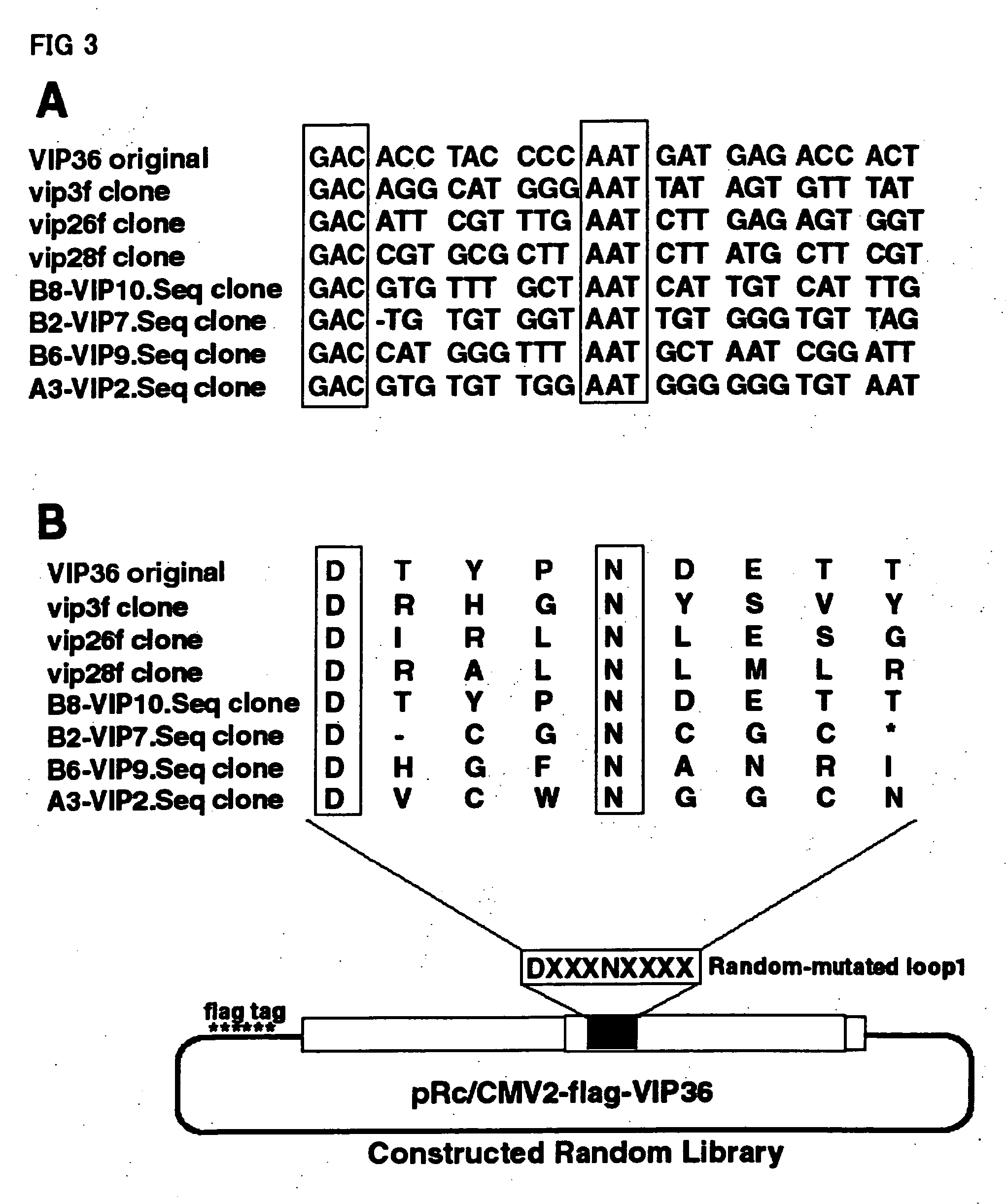 Sugar chain library constructed via cargo receptor gene modification