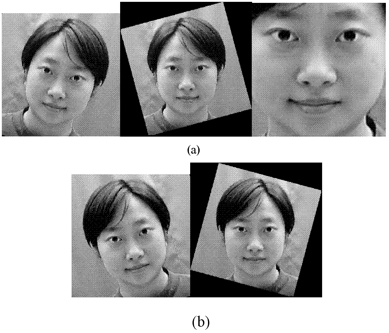 Face image reversible geometric normalization method facing overall characteristics analysis