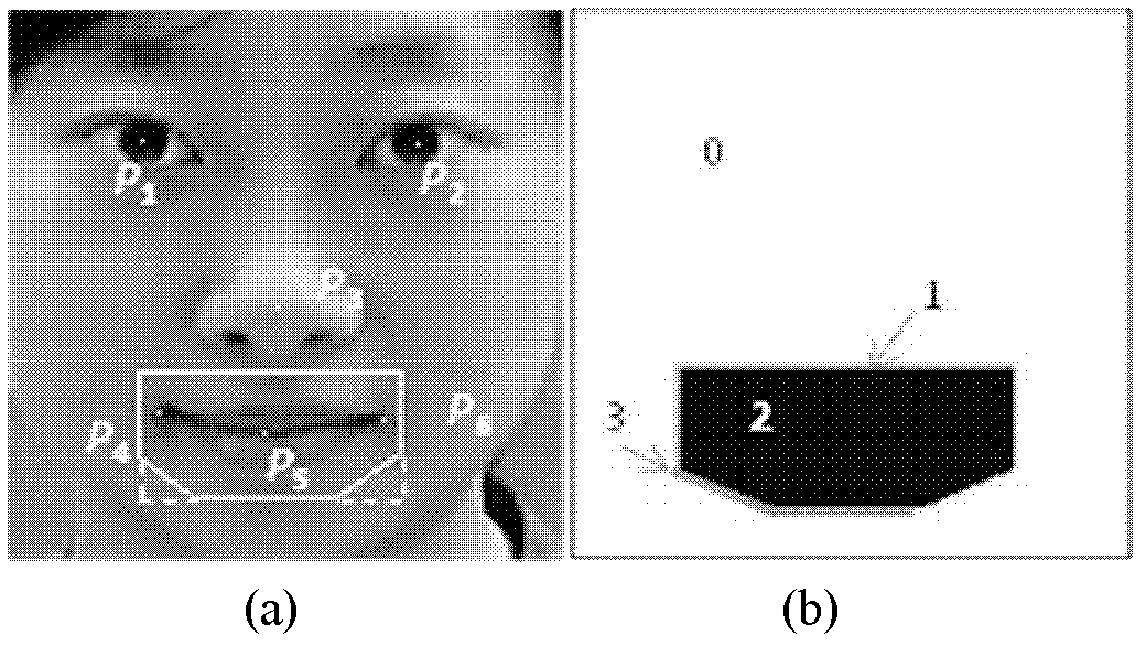 Face image reversible geometric normalization method facing overall characteristics analysis