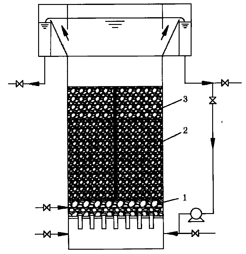 Biological aerated filter with three filter layers