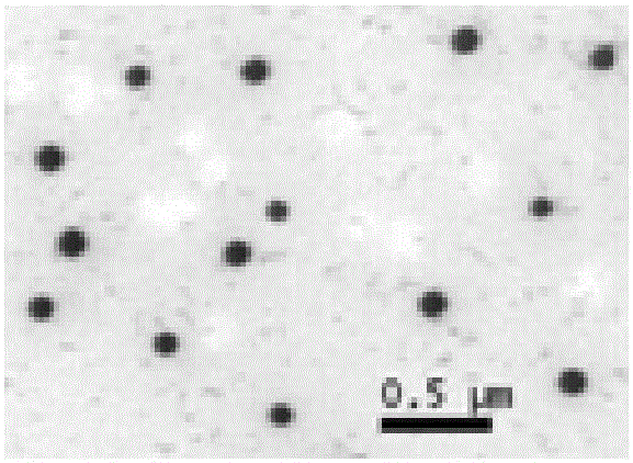 Rhubarb free anthraquinone nanometer emulsion preparation for preventing and treating plant red spider disease