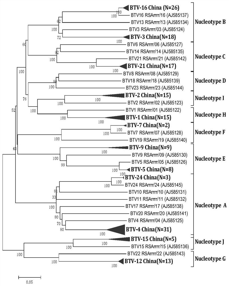 One-step RT-PCR kit and method for identifying serotype of bluetongue virus