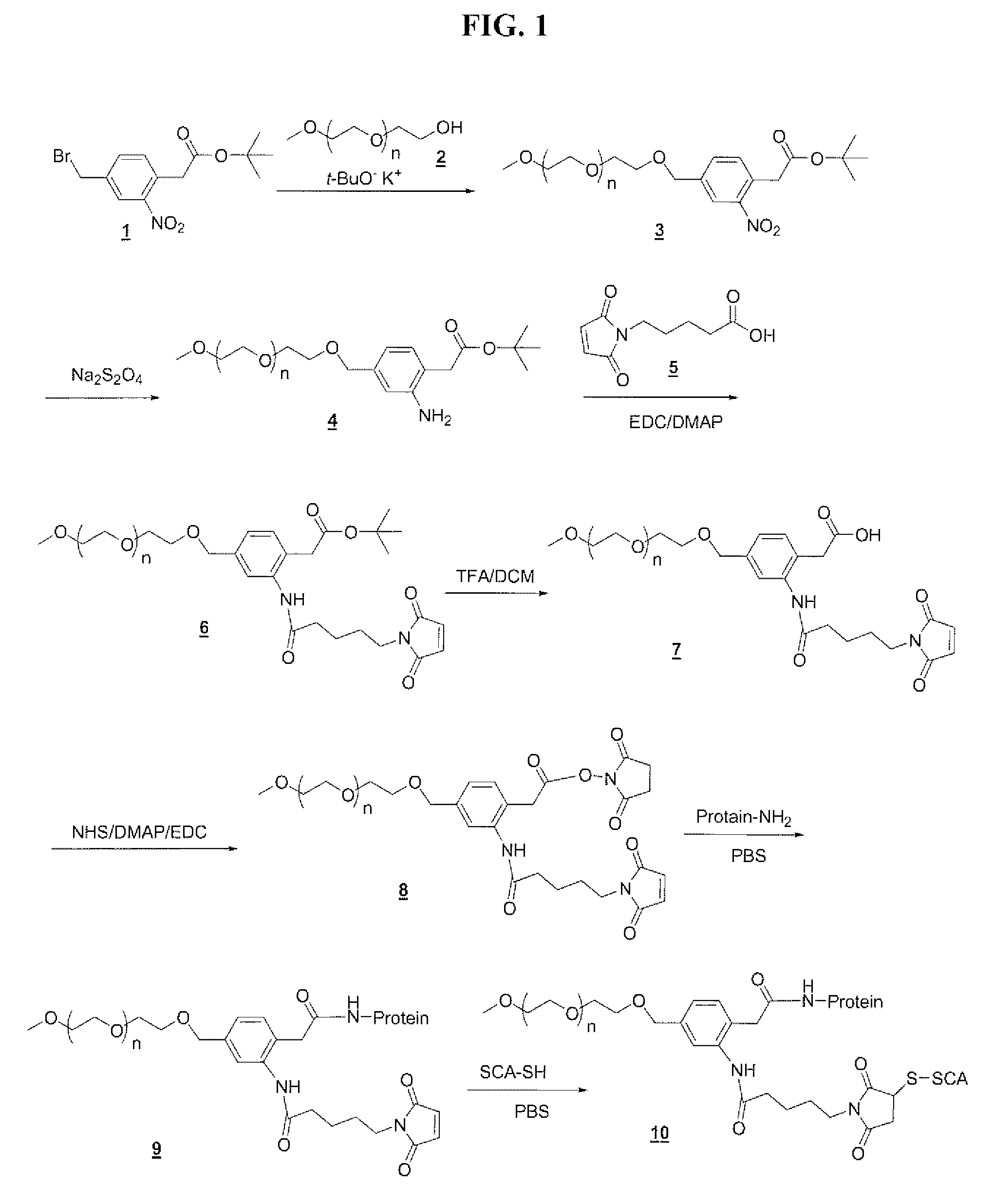 Polymeric drug delivery system containing a multi-substituted aromatic moiety