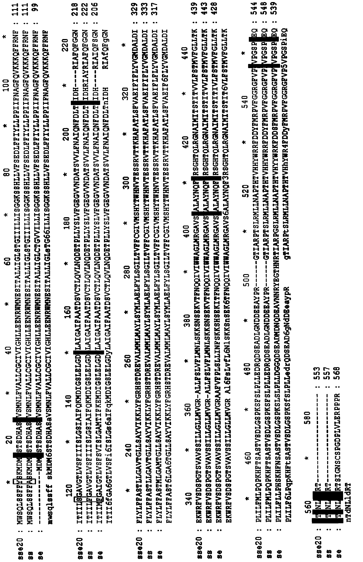 Strong-salt-tolerant plant gene SseNHX1 as well as encoding protein and application of strong-salt-tolerant plant gene SseNHX1