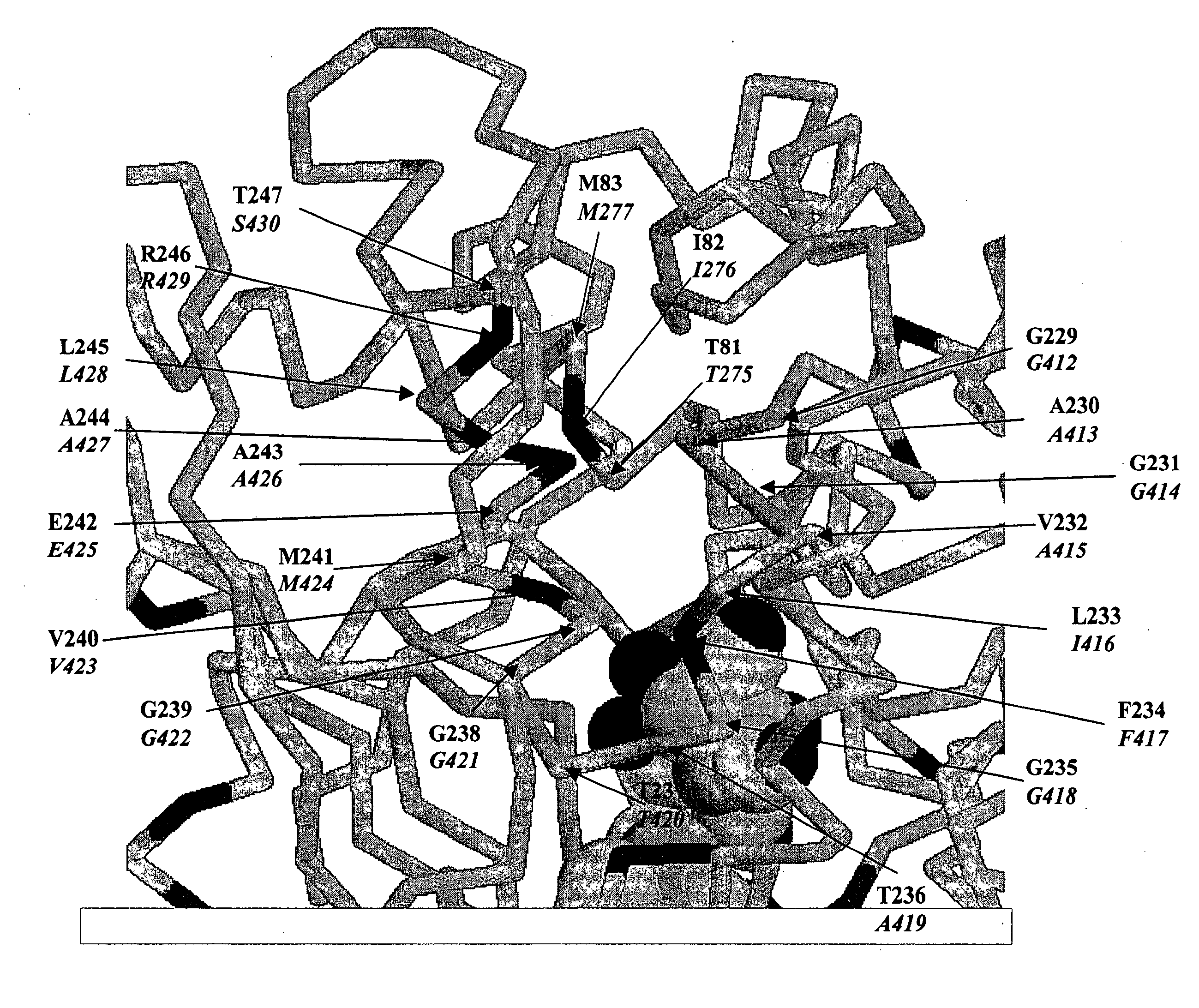 Methods and compositions for evolving microbial hydrogen production