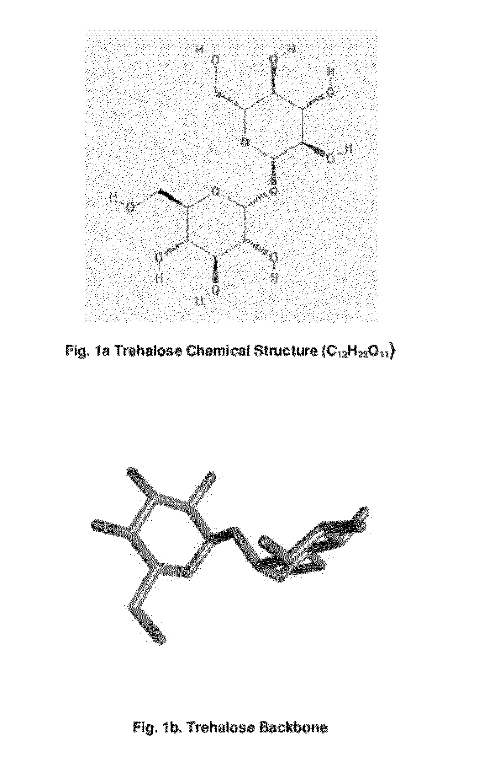 Compositions and Methods to Prevent and Treat Biofilms