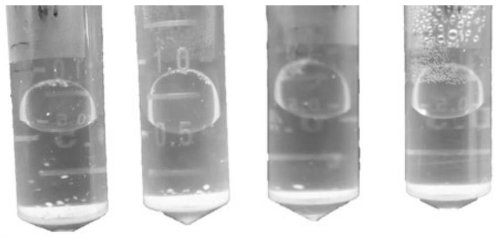 Metabolic enzyme induced micro-nano plastic particle biodegradation method and product analysis method thereof