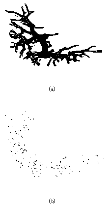 Liver image segregation method based on hierarchy vessel tree division