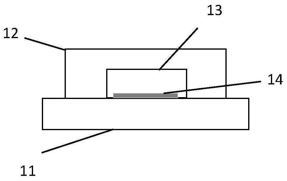 High-sensitivity rapid immunodetection method based on acoustic microfluid and application