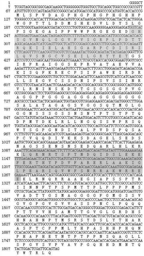 Exopalaemon carinicauda compound eye development regulation gene and guide RNA, and acquisition and application thereof