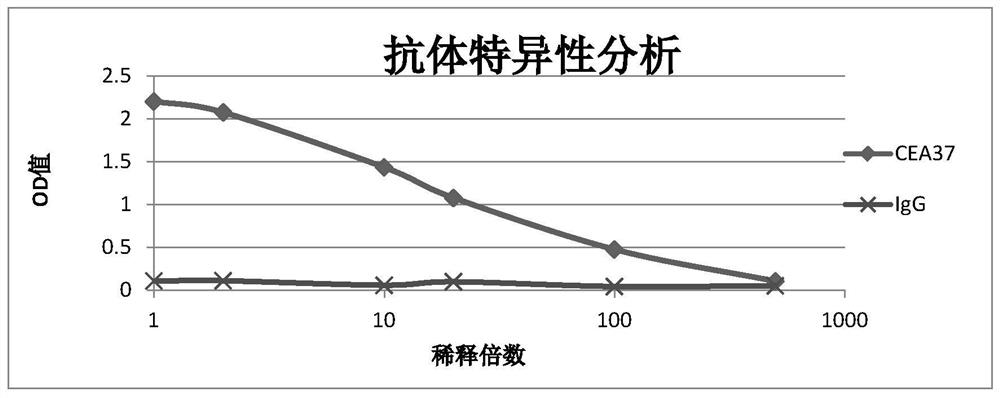 Anti-mg7-ag monoclonal antibody (cea37) and its use