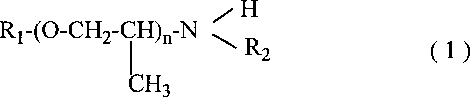 Polyethenoxyamines used as main agent of gasoline detergent and preparation method thereof