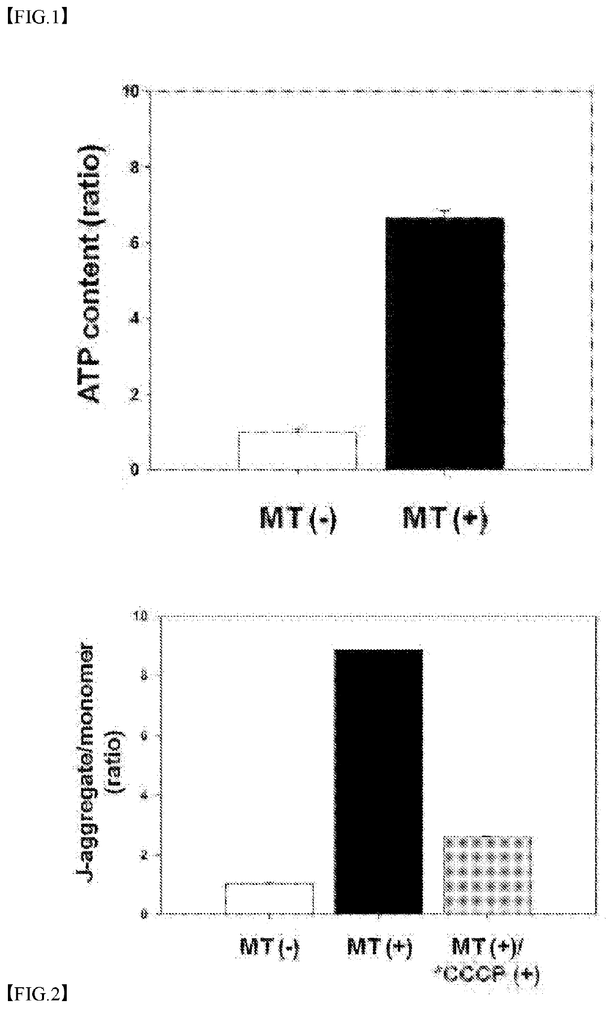 Pharmaceutical composition for preventing or treating myositis, comprising isolated mitochondria as active ingredient