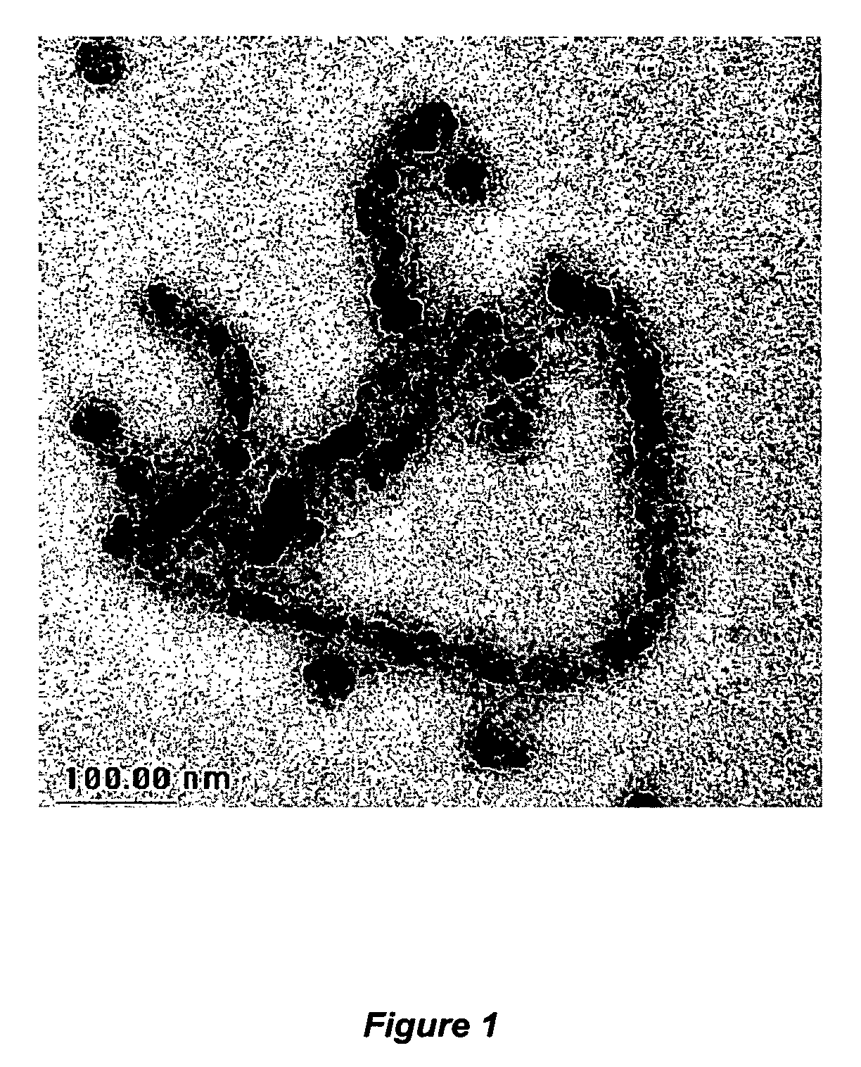 Nanoparticles with controlled architecture and method thereof