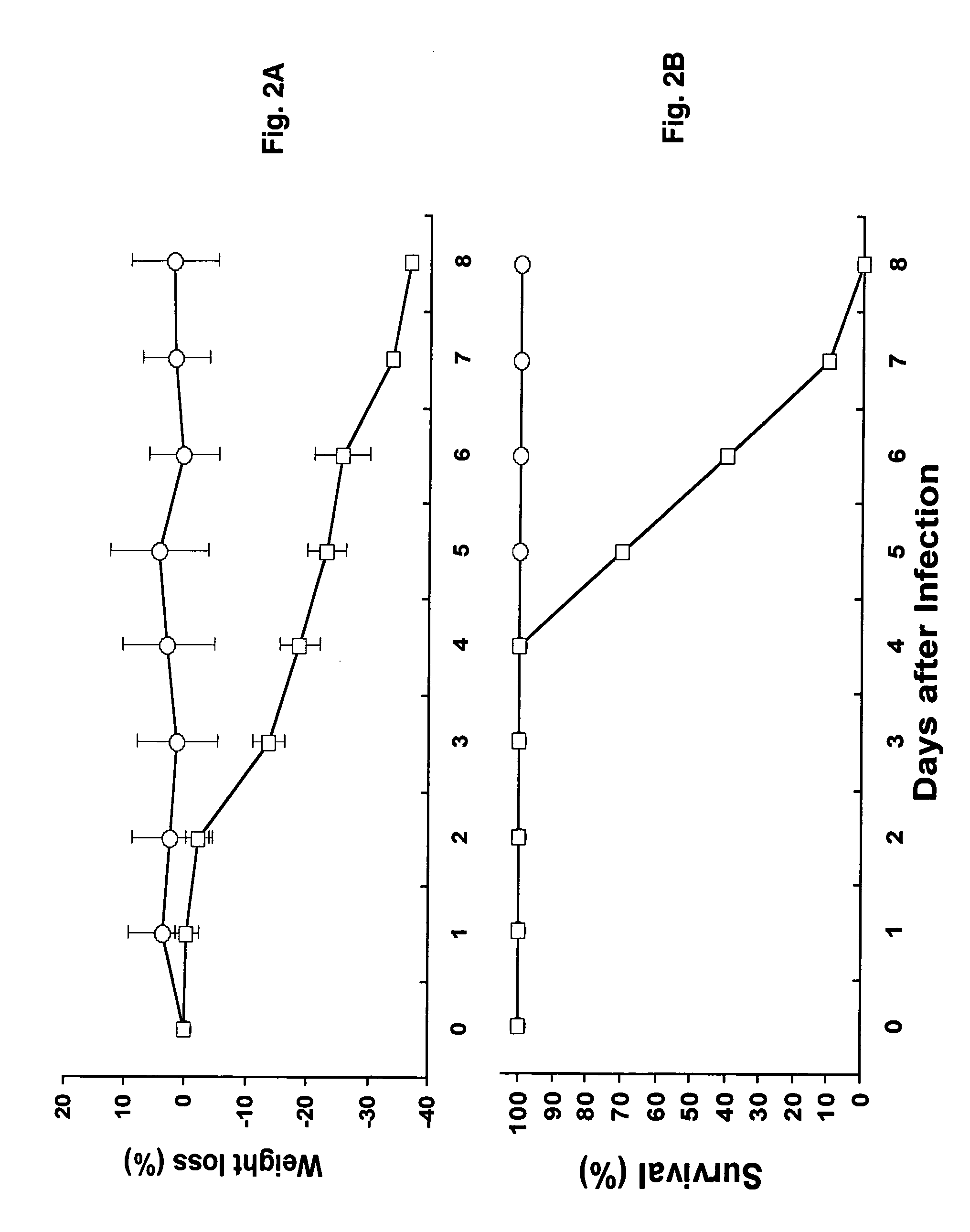 Transgenic Mouse Lines Expressing Human Ace2 and Uses Thereof