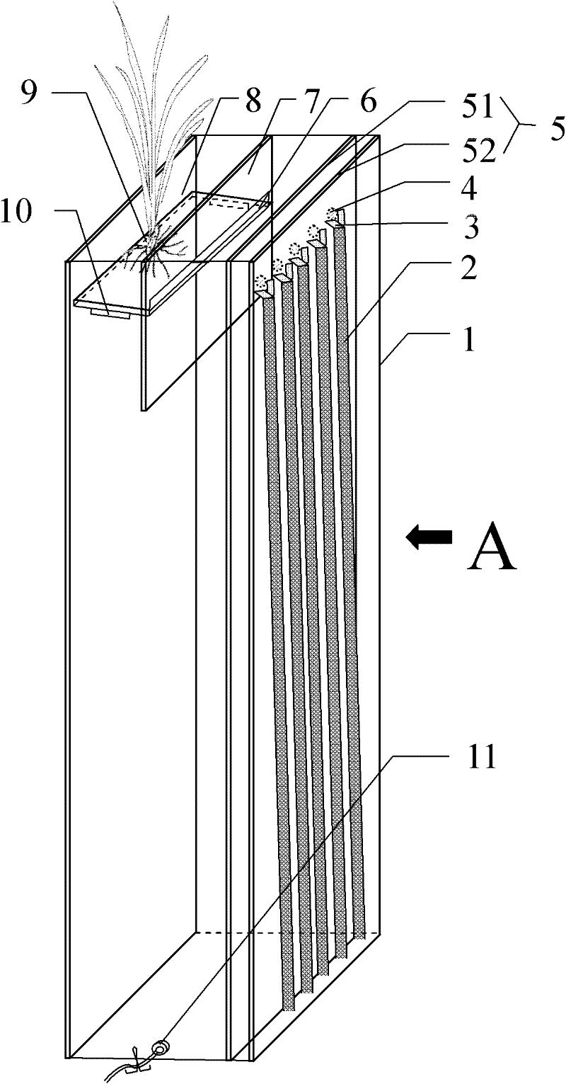 Root box test device used for rhizosphere microzone study