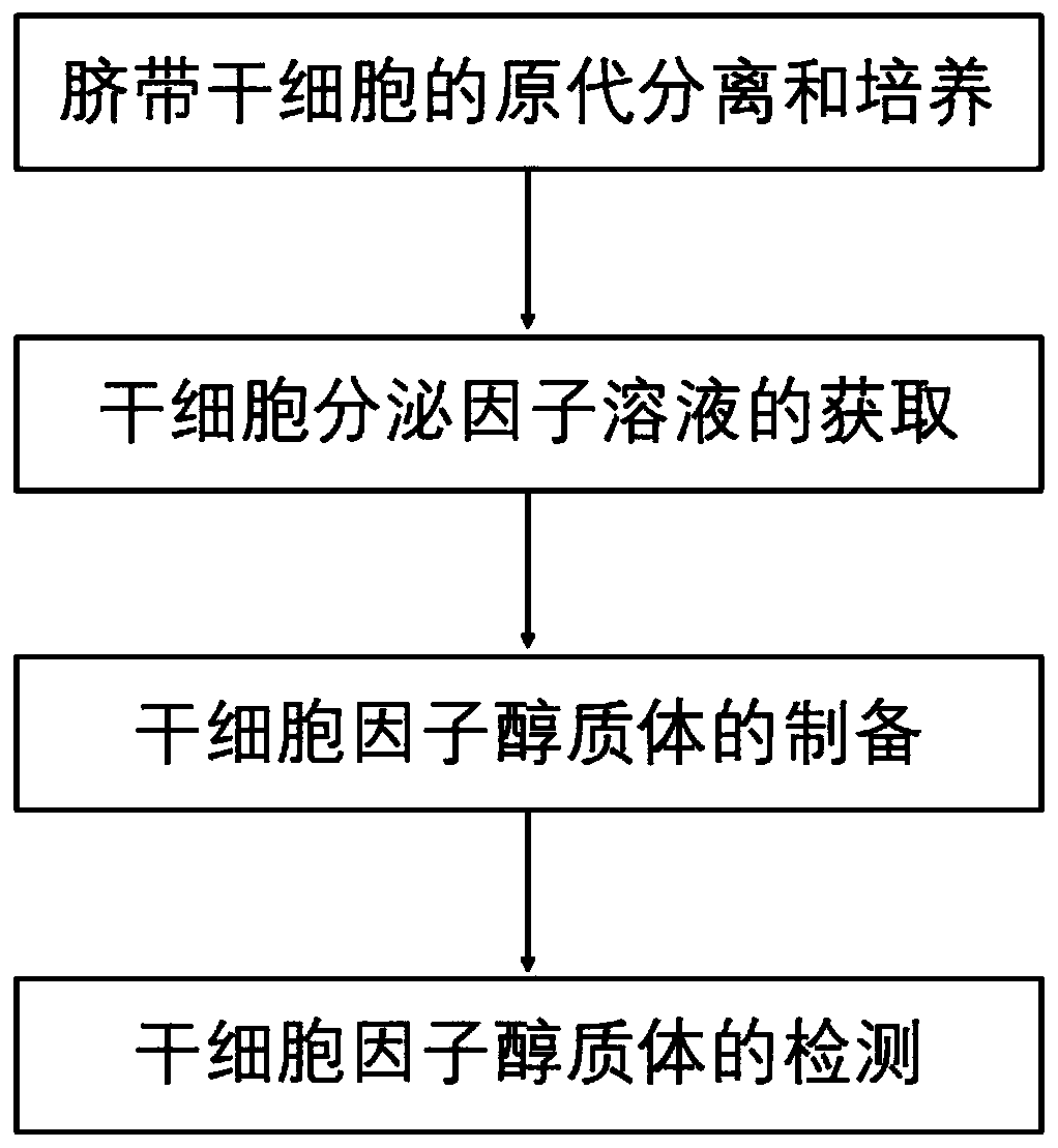 Stem cell growth factor ethosome containing penetration enhancer peptide and preparation method thereof