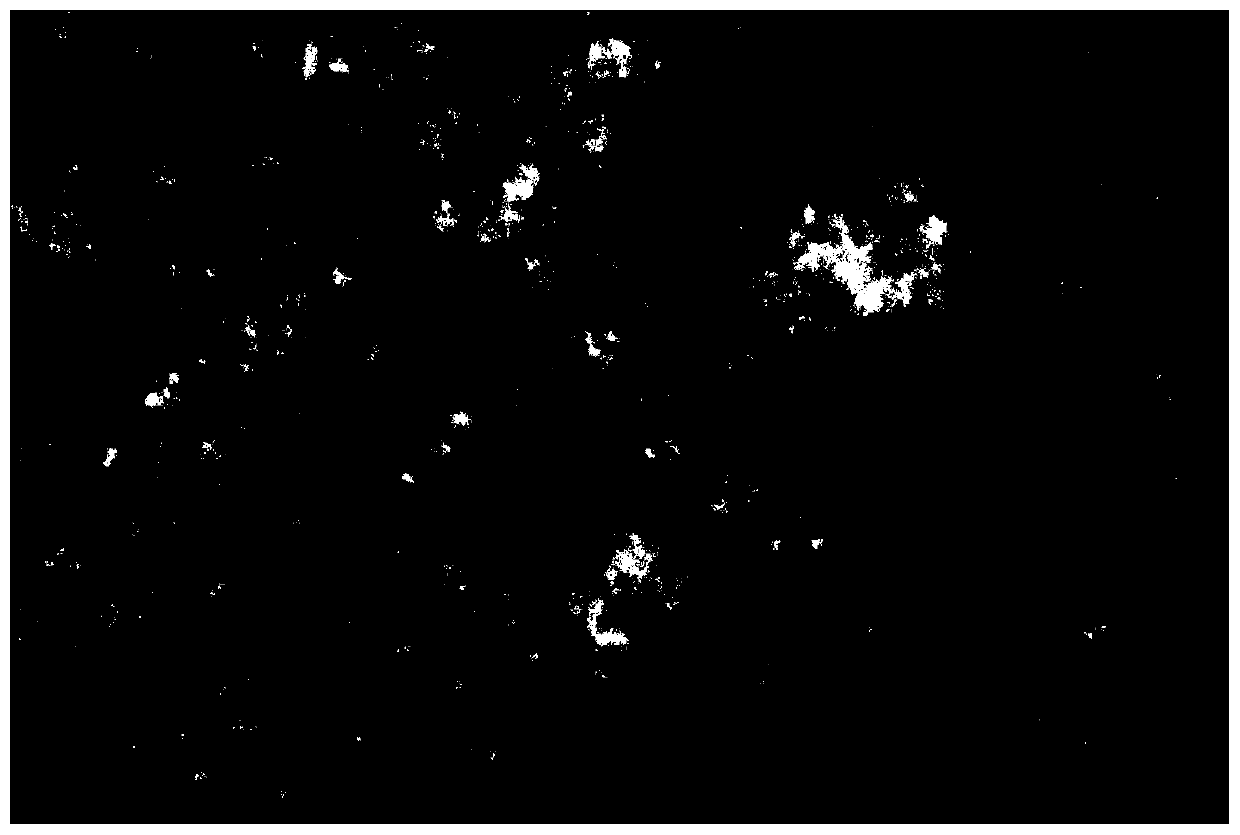 Stem cell growth factor ethosome containing penetration enhancer peptide and preparation method thereof