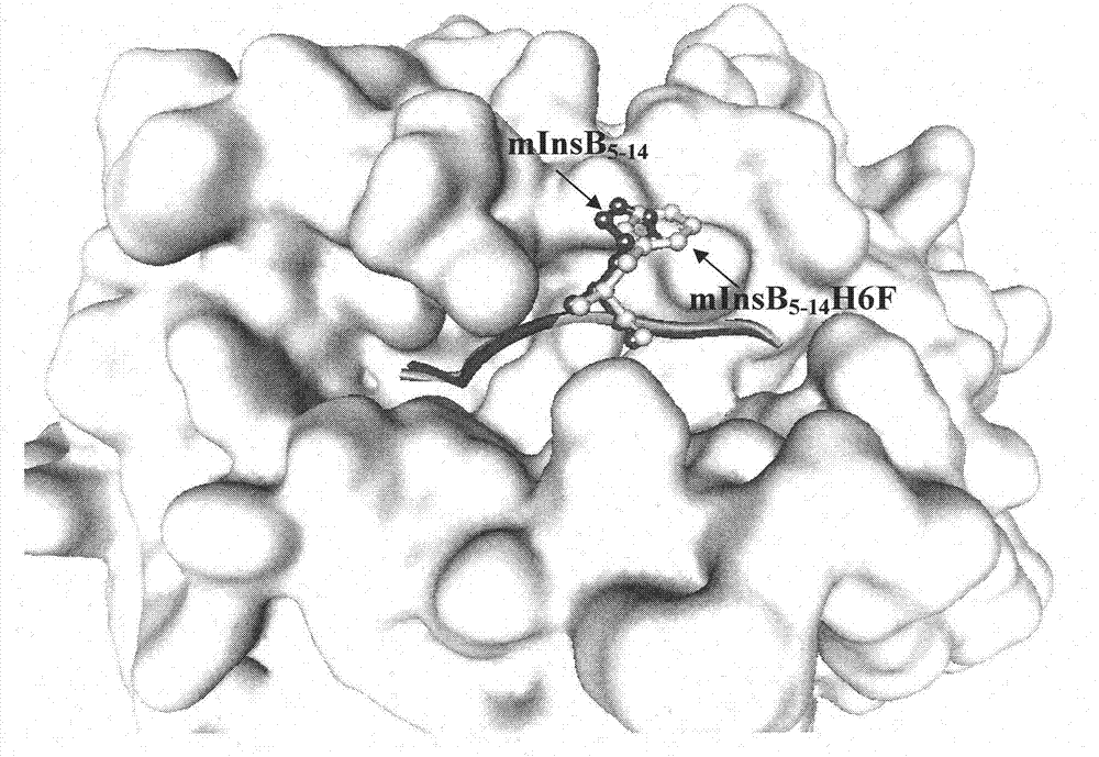 Insulin B chain HLA-A*0201 restrictive CTL epitope modified peptide ligand and acquisition method and application thereof