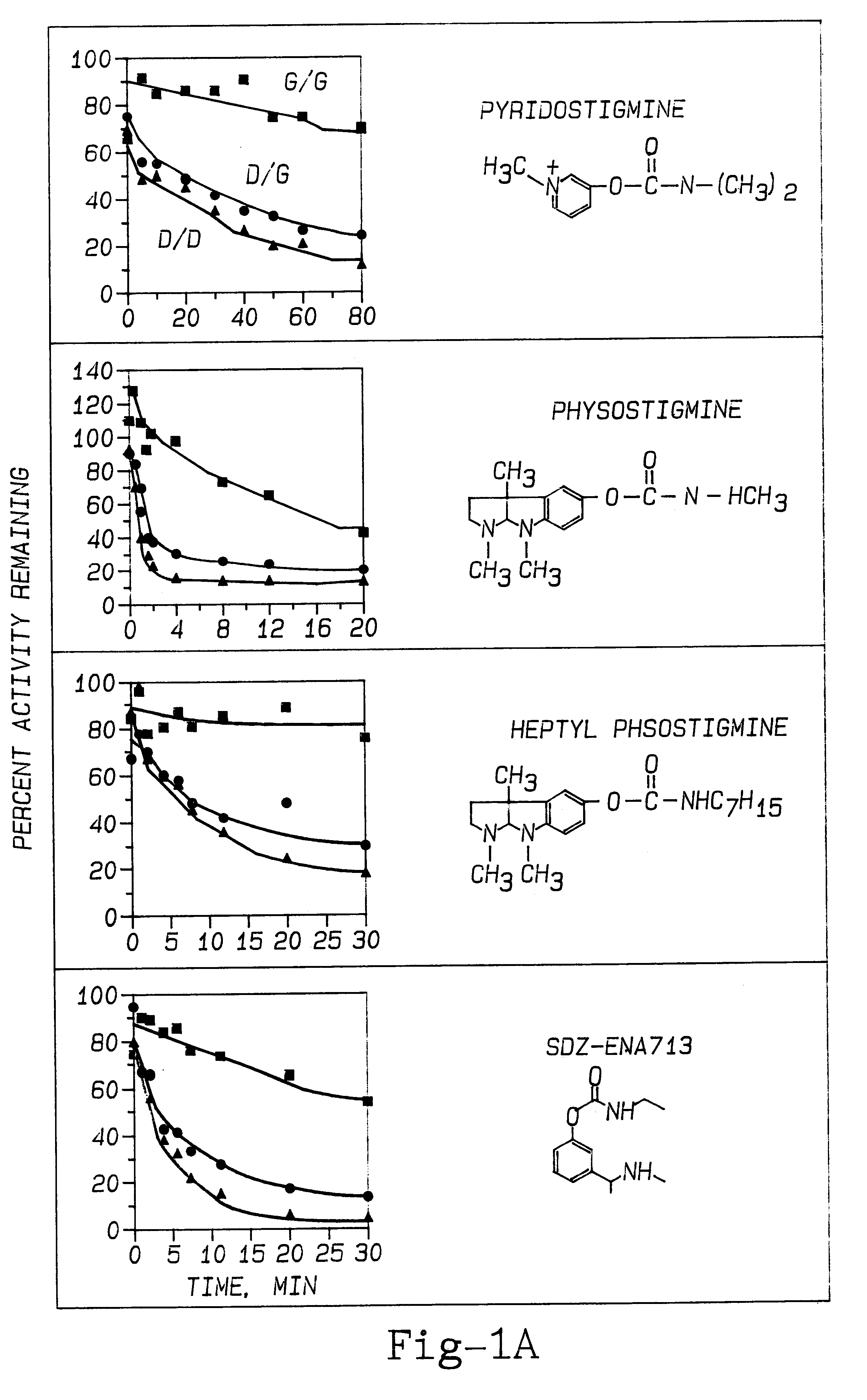 Method of screening for genetic predisposition to anticholinesterase therapy