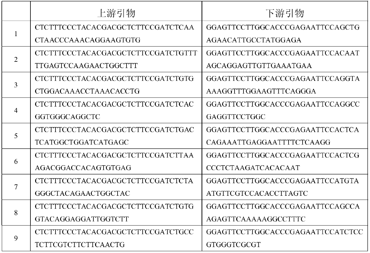 High-throughput sequencing method for hypertension treatment drug related genes and application thereof