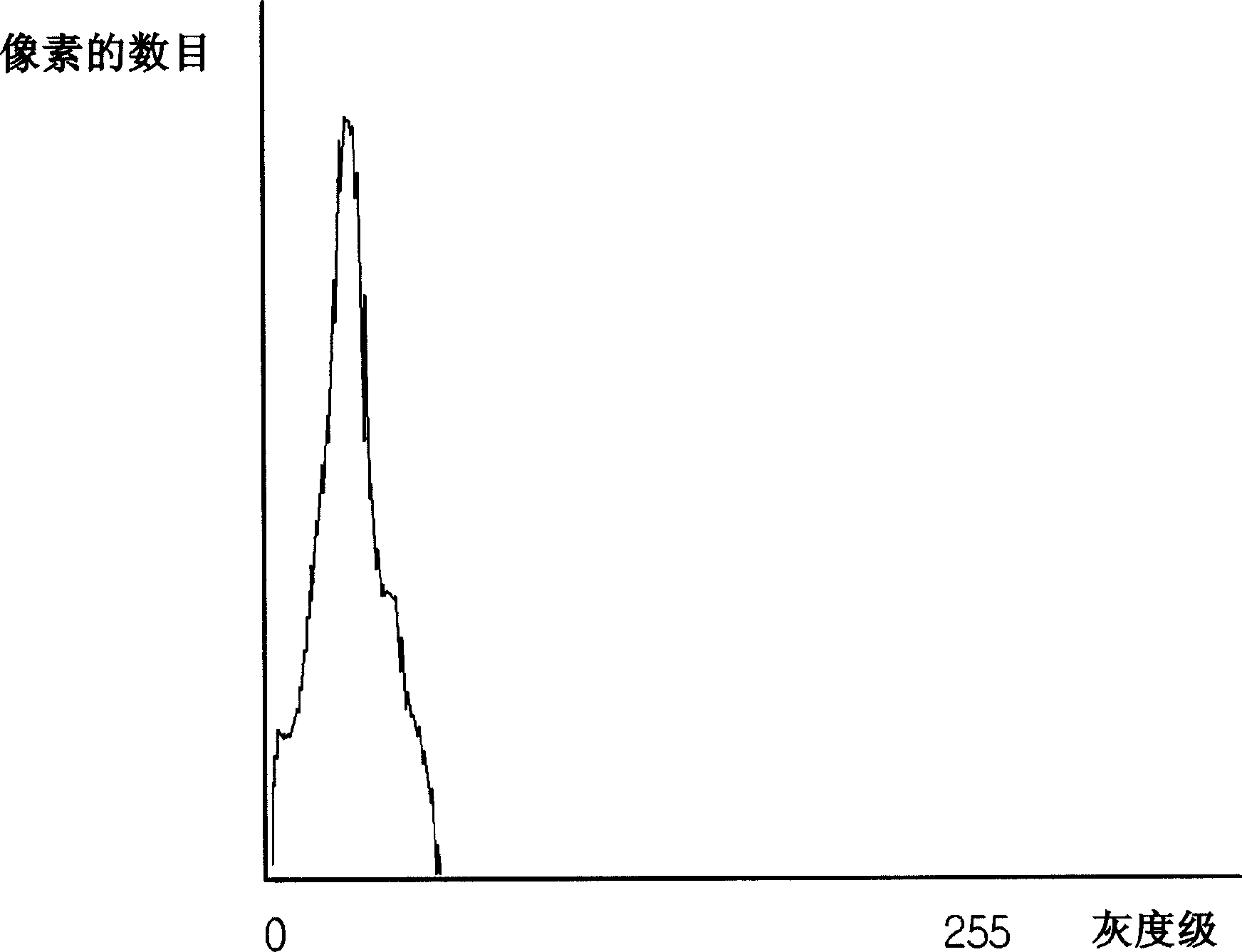 Image processing apparatus