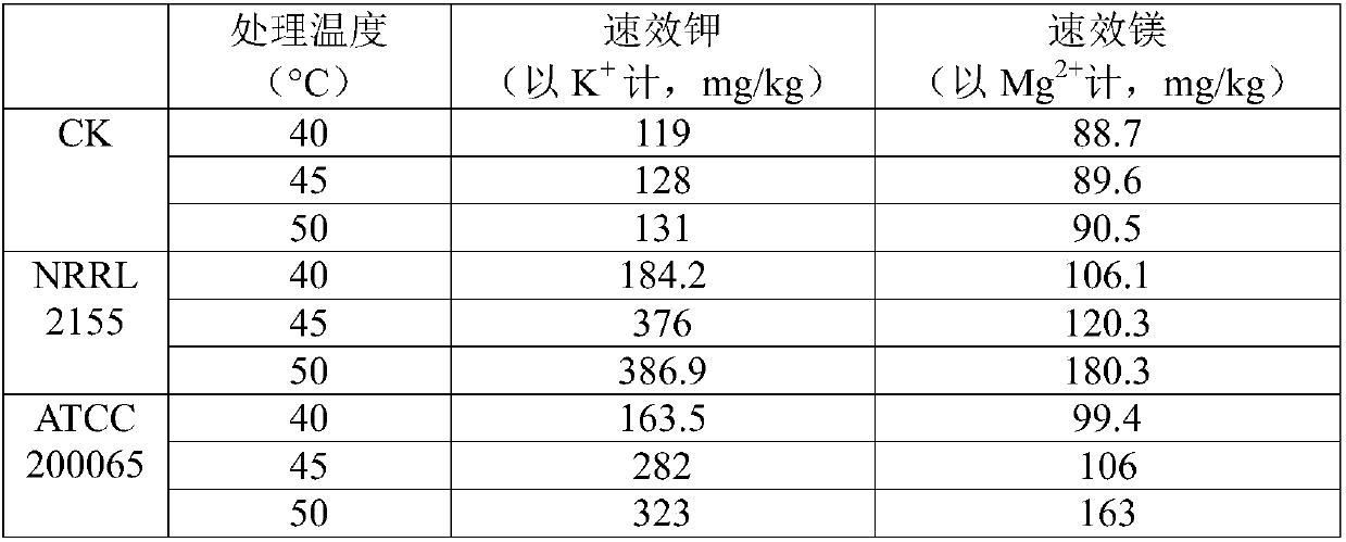 Application of thermophilic bacteria in fertility improvement and potassium fertilizer and magnesium fertilizer content increase