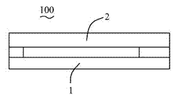 OLED (organic light emitting devices) screen body capable of preventing lead corrosion and OLED screen body packaging method
