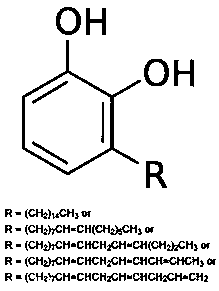 A kind of controllable and reversible crosslinking urushiol resin and preparation method thereof